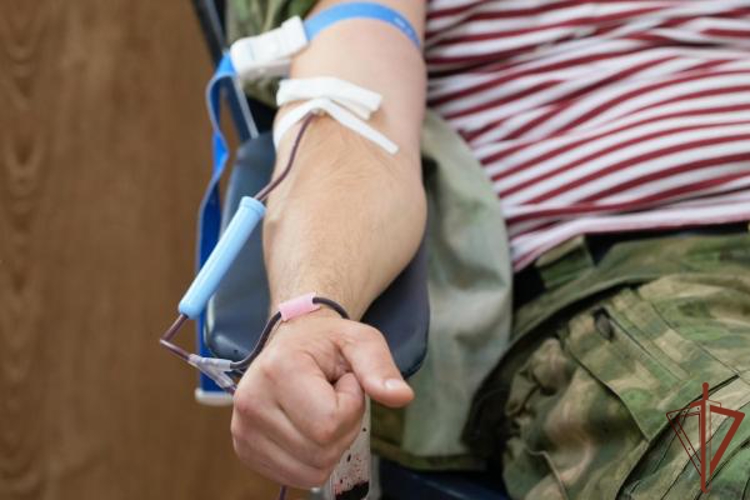 Военнослужащие Росгвардии поддержали донорскую акцию в Гудермесе