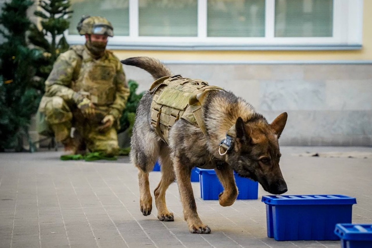В Санкт-Петербурге кинологи и служебные собаки Росгвардии впервые стали участниками «Ночи музеев»