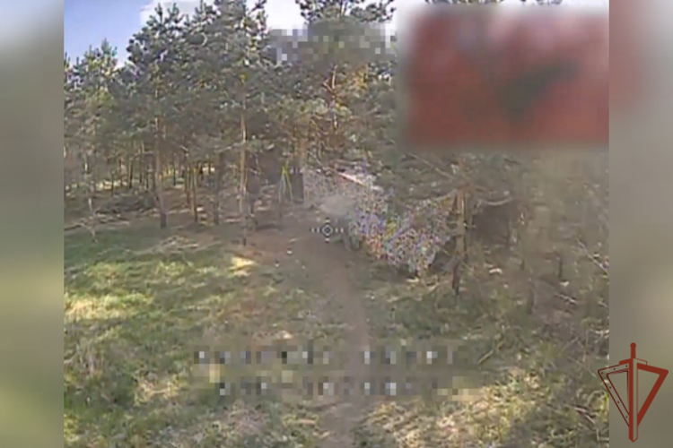 Оператор БПЛА Росгвардии уничтожил боевиков ВСУ с помощью ударного FPV-дрона в Черниговской области (видео)