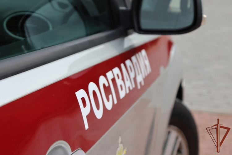 Росгвардейцы в Санкт-Петербурге помогли эвакуировать жильцов дома, в котором произошел пожар (видео)