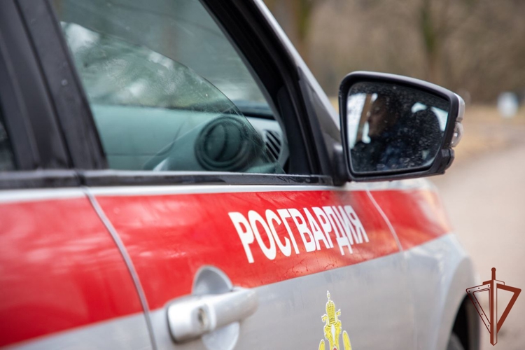 Подозреваемого в угрозе убийством задержали сотрудники Росгвардии в Подмосковье