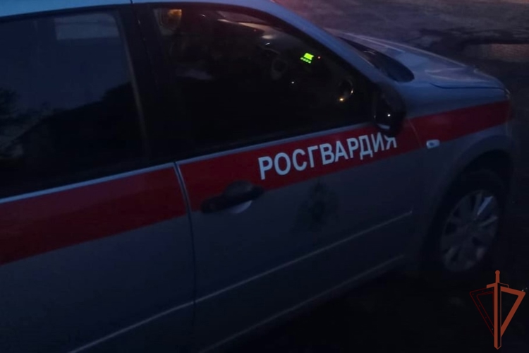 Сотрудники Росгвардии разыскали в Ленинградской области  ребёнка, который не вернулся домой после прогулки