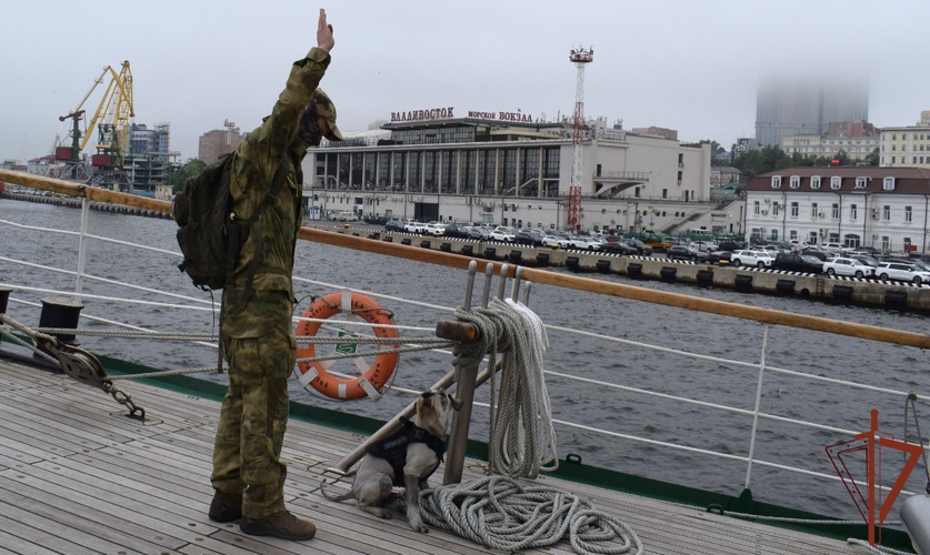 Служебным собакам Росгвардии вручили ведомственные знаки отличия (видео)