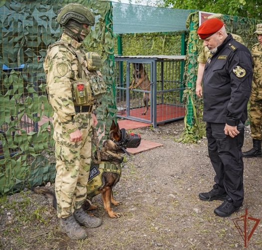 Заместители директора Росгвардии проверили готовность сил и средств ведомства к обеспечению безопасности международных мероприятий в Санкт-Петербурге