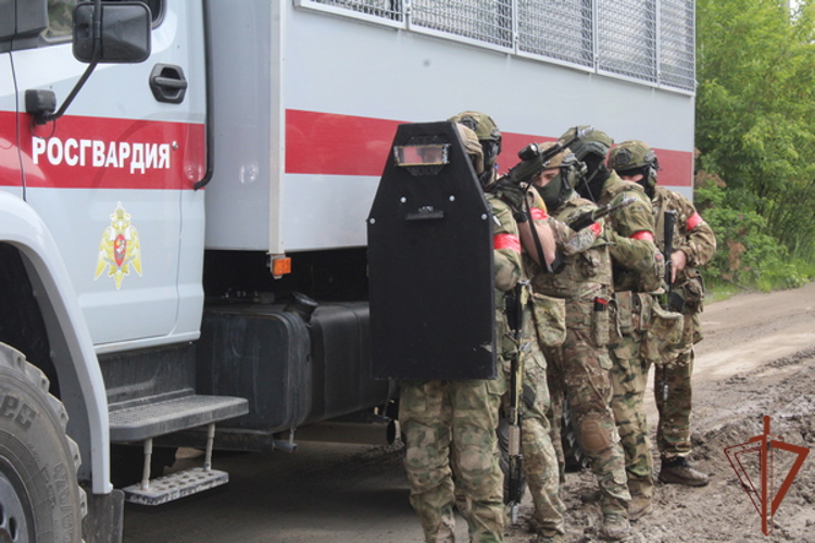 В Вологодской области сотрудники спецподразделений Росгвардии провели тактико-специальную тренировку (видео)