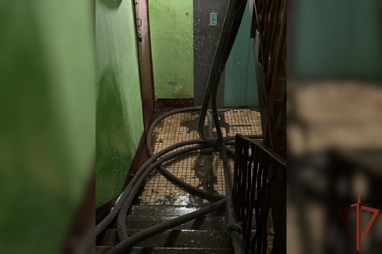 В Ленинградской области росгвардейцы обнаружили возгорание в жилом доме и эвакуировали жильцов 