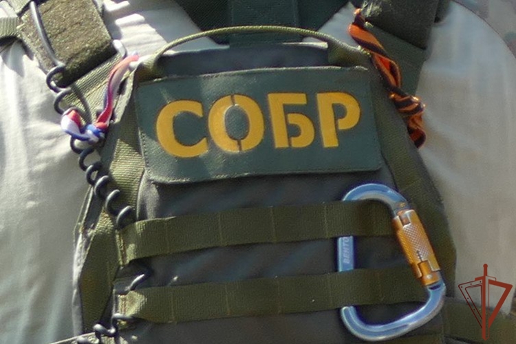 При силовой поддержке СОБР Росгвардии в Томске пресечена противоправная деятельность сторонника проукраинского режима 