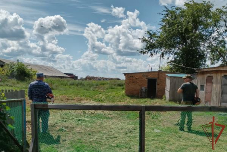Росгвардейцы оказали помощь матери погибшего боевого товарища в Омской области