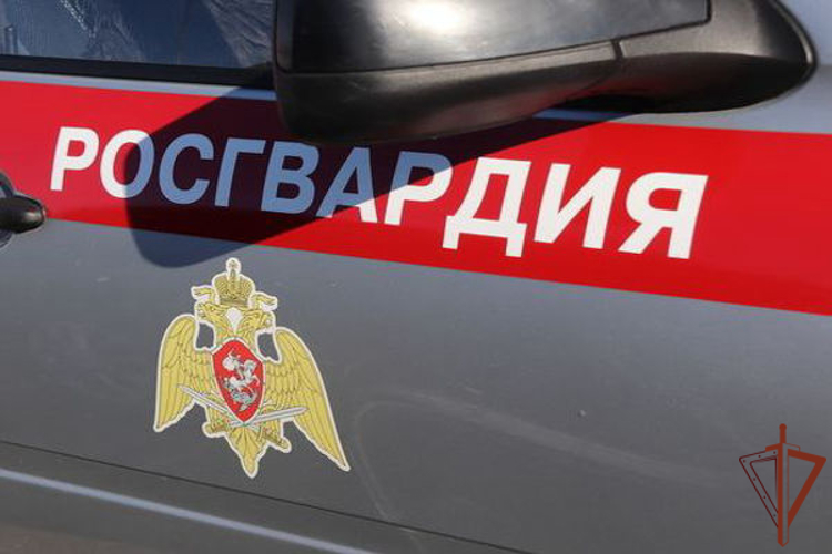 В Перми сотрудники Росгвардии задержали вооруженного мужчину