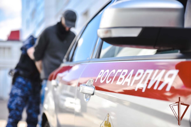 Росгвардейцы задержали мужчину, открывшего стрельбу из ружья в Подмосковье