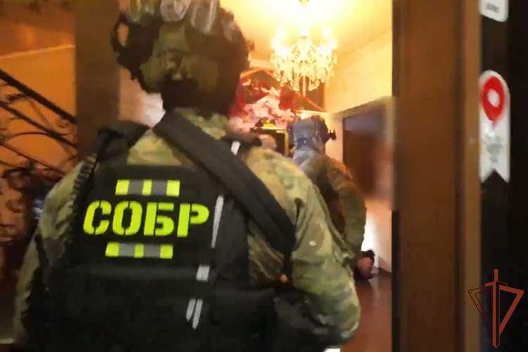 Подозреваемых в организации интим-бизнеса задержали при содействии спецназа Росгвардии в Краснодаре