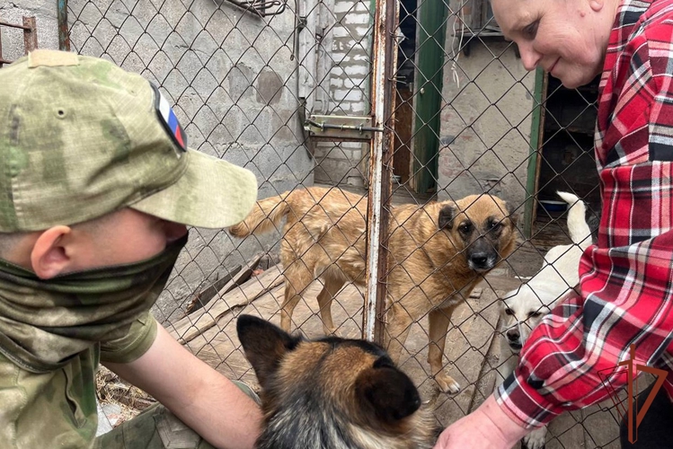 В ЛНР росгвардейцы оказали помощь приюту для бездомных животных