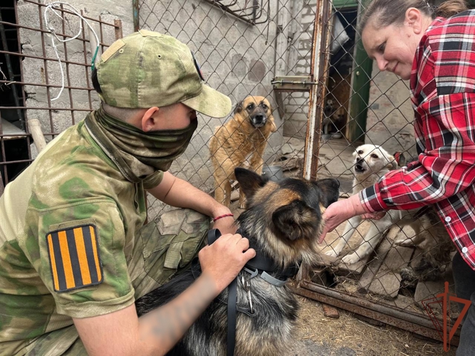 В ЛНР росгвардейцы оказали помощь приюту для бездомных животных