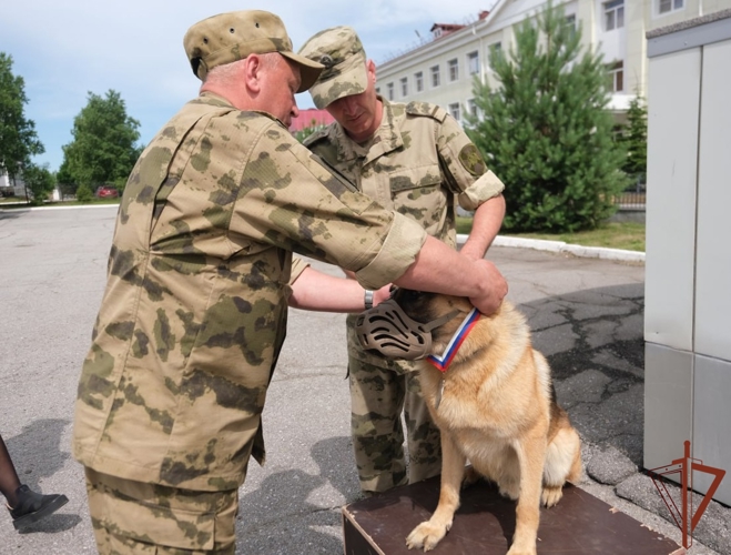 Первенство по многоборью кинологов Восточного округа Росгвардии состоялось в Хабаровске