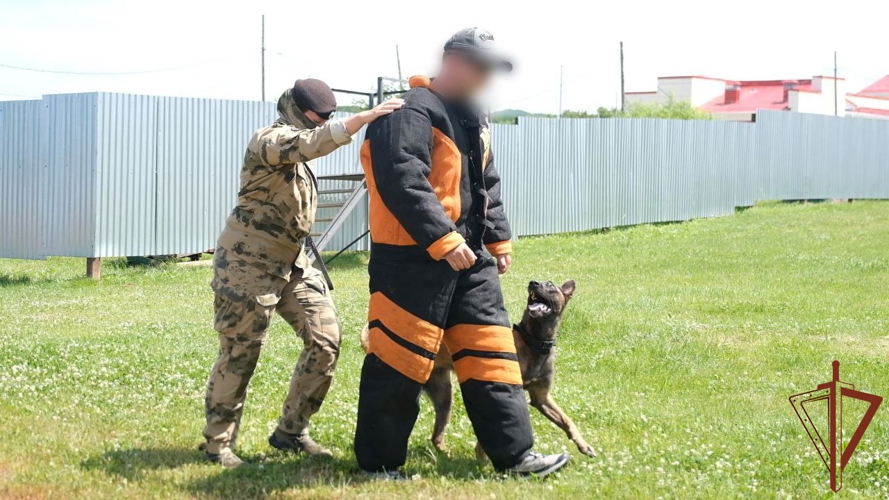 Первенство по многоборью кинологов Восточного округа Росгвардии состоялось в Хабаровске 