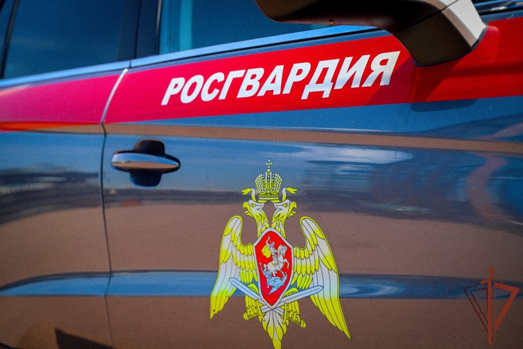 В Москве Росгвардейцы задержали мужчину, незаконно проникшего в частный дом (видео)