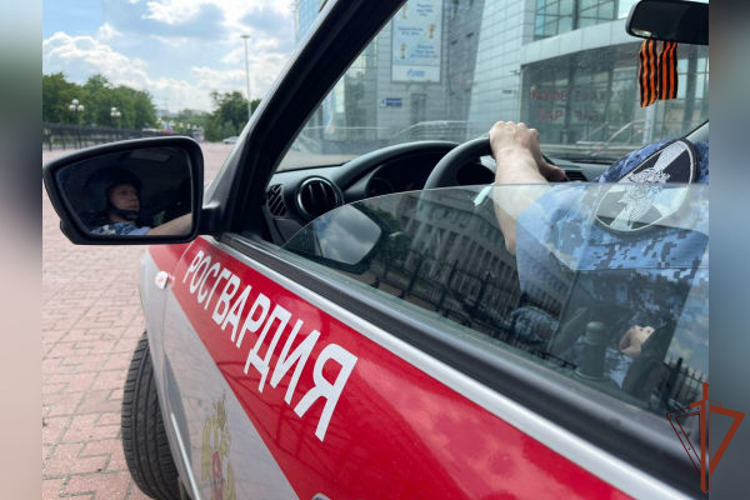 Сотрудники Росгвардии задержали дебошира, повредившего иномарку в Подмосковье (видео)