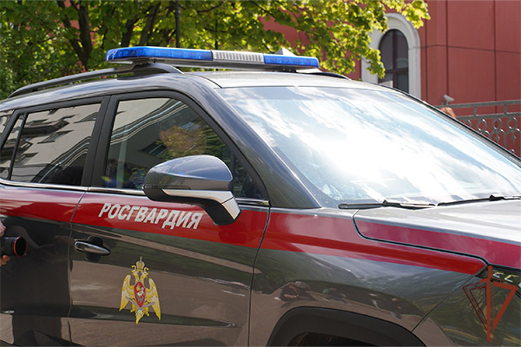 В Москве росгвардейцы помогли водителю завести заглохший автомобиль (видео)