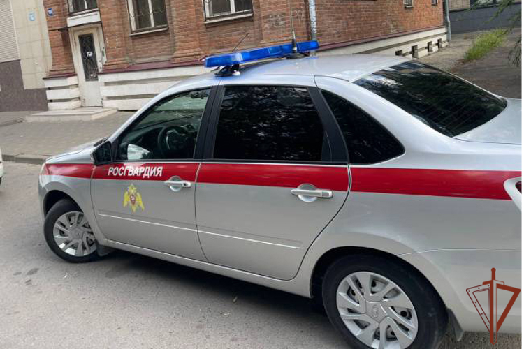 Росгвардейцы задержали подозреваемую в нападении на администратора гостиницы в Ростовской области