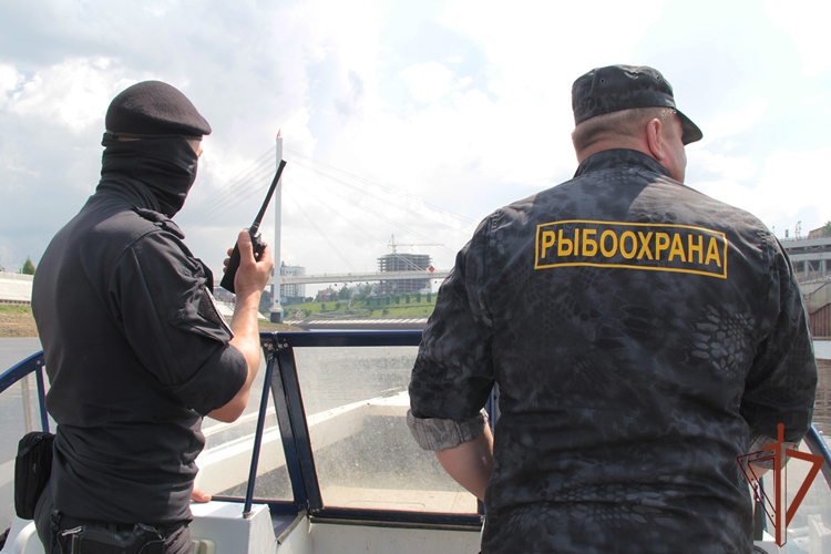 При содействии Росгвардии с начала года в Тюменской области пресечено более 360 нарушений законодательства в сфере рыболовства