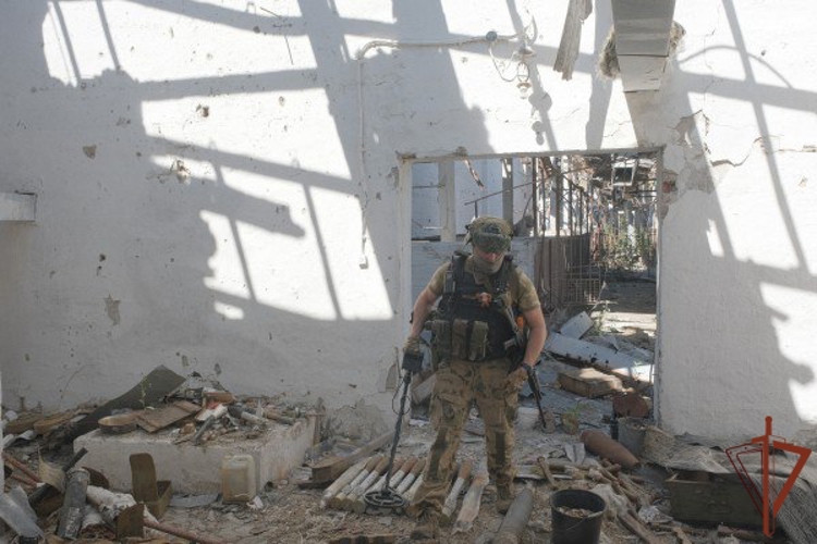 Росгвардейцы обнаружили оставленные при отступлении ВСУ боеприпасы в ДНР (видео)