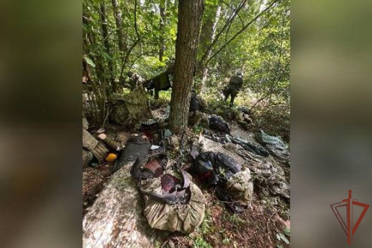 Спецназ Росгвардии принял участие в ликвидации ДРГ на территории Брянской области