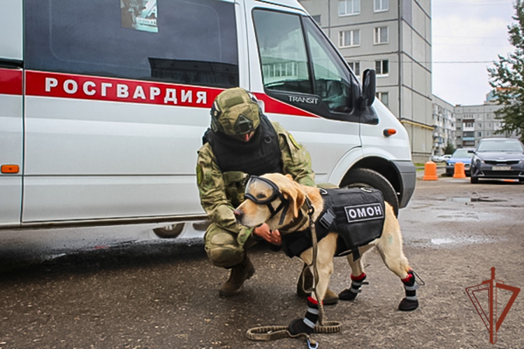 Сотрудники Северо-Западного округа Росгвардии приняли участие во всероссийских учениях на объектах образования