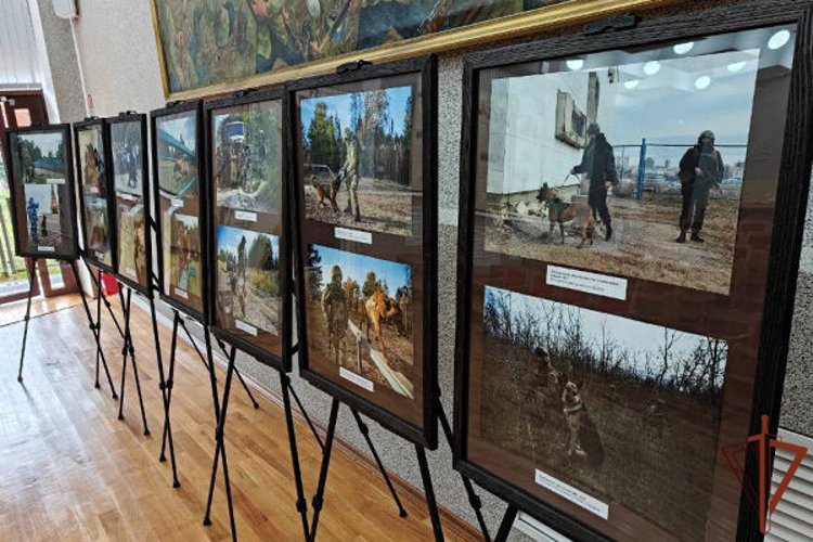 Фотовыставка о работе кинологов-росгвардейцев открылась в Чебоксарах