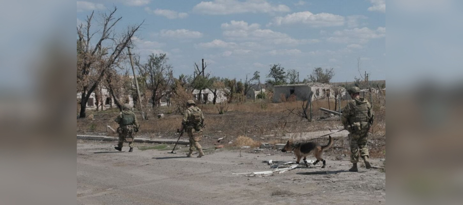 Военнослужащие Росгвардии обнаружили брошенный командно-наблюдательный пункт ВСУ с образцами иностранного оружия в одном из освобождённых сёл ДНР (видео)
