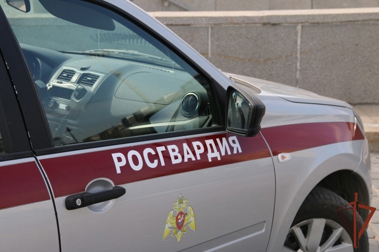 В Санкт-Петербурге росгвардейцы задержали подозреваемого в поджоге тепловоза