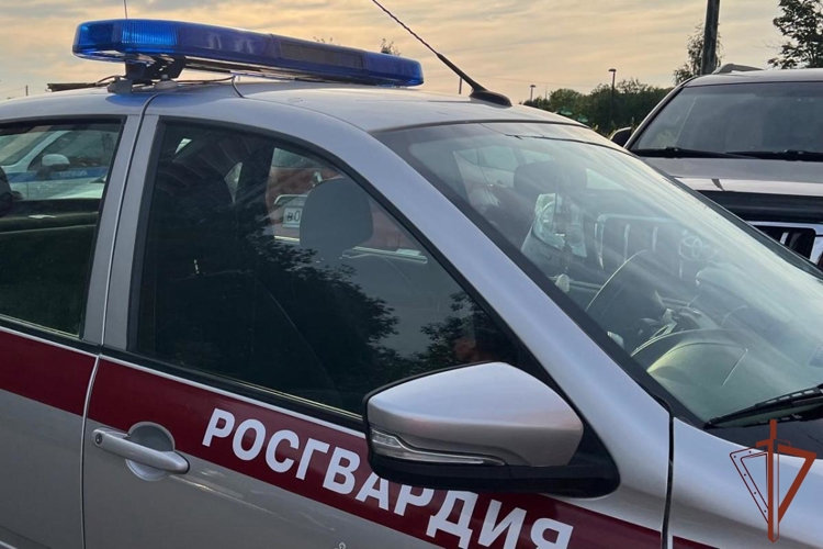 Росгвардейцы задержали хулигана, размахивавшего мачете во дворе дома в Санкт-Петербурге