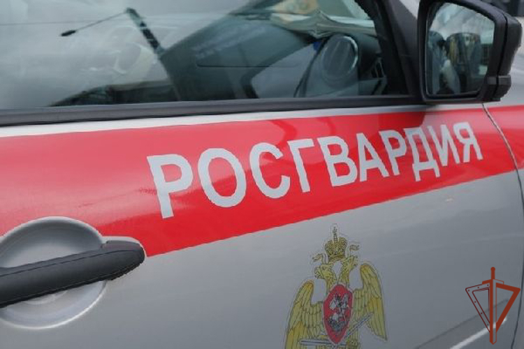 В Запорожской области росгвардеец оказал доврачебную помощь пострадавшему в  ДТП 