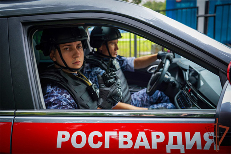 В Москве росгвардейцы помогли водителю завести заглохший автомобиль (видео)