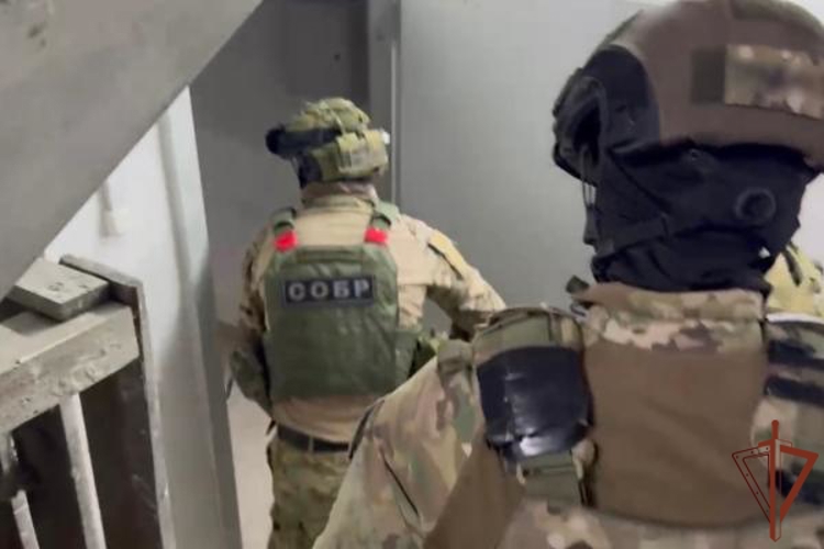 При содействии спецподразделений Росгвардии в Ярославле пресечена деятельность игорных заведений