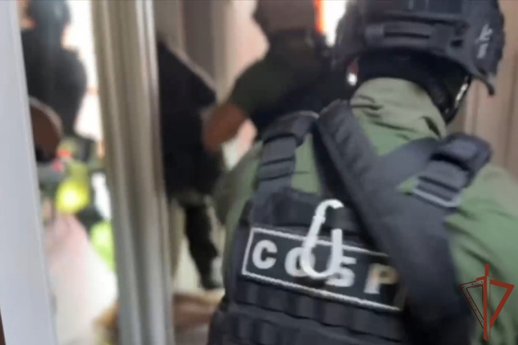 Сеть узлов связи украинских кол-центров ликвидирована в Крыму при содействии СОБР Росгвардии (видео)