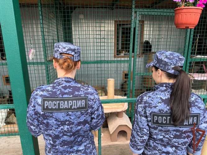 Сотрудники Росгвардии оказали помощь столичному приюту для животных (видео)