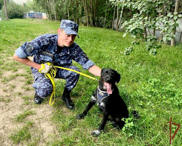 Сотрудники Росгвардии оказали помощь столичному приюту для животных (видео)