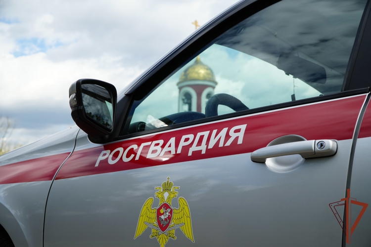 В Подмосковье росгвардейцы задержали неадекватного мужчину, угрожавшего ножом несовершеннолетним (видео)