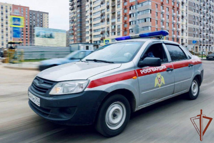 Росгвардейцы задержали мужчину, открывшего стрельбу в Подмосковье