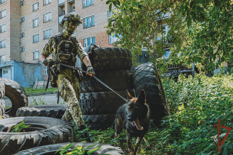 В Пензе прошел учебно-тренировочный сбор кинологов