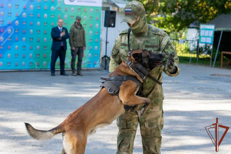 Росгвардейцы на Урале провели патриотические мероприятия с подрастающим поколением