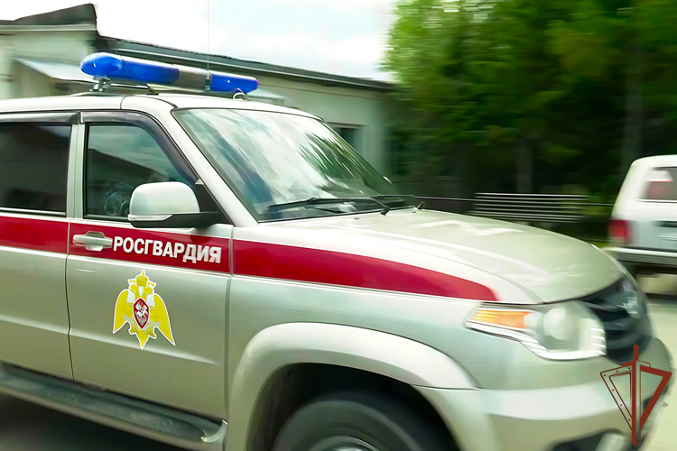 На Ямале сотрудники Росгвардии помогли заблудившейся женщине-грибнику найти дорогу из леса