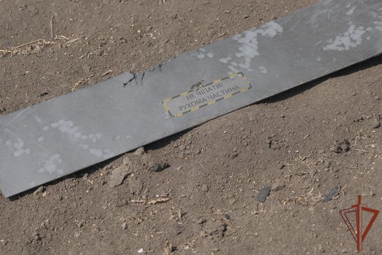 Росгвардейцы в ДНР сбили украинский беспилотник, начинённый поражающими элементами (видео)