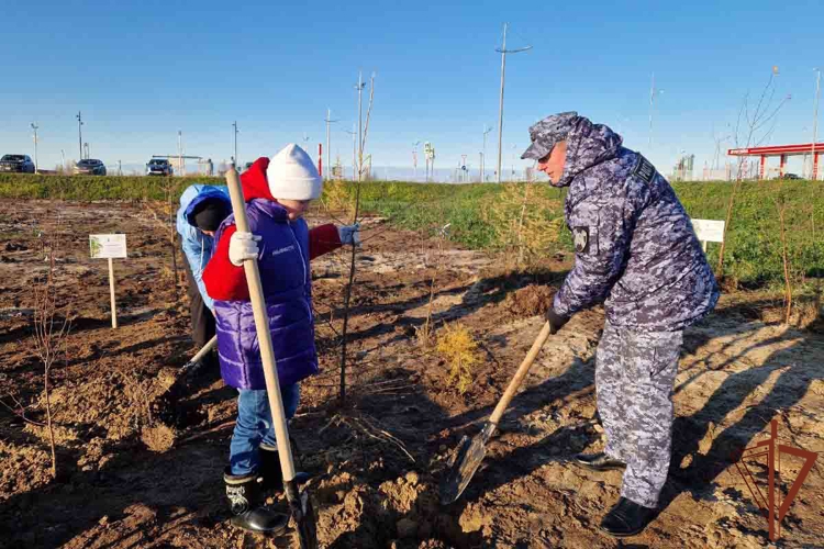 На Ямале в преддверии 50-летия города Новый Уренгой сотрудники Росгвардии заложили «Сад Памяти» (видео)
