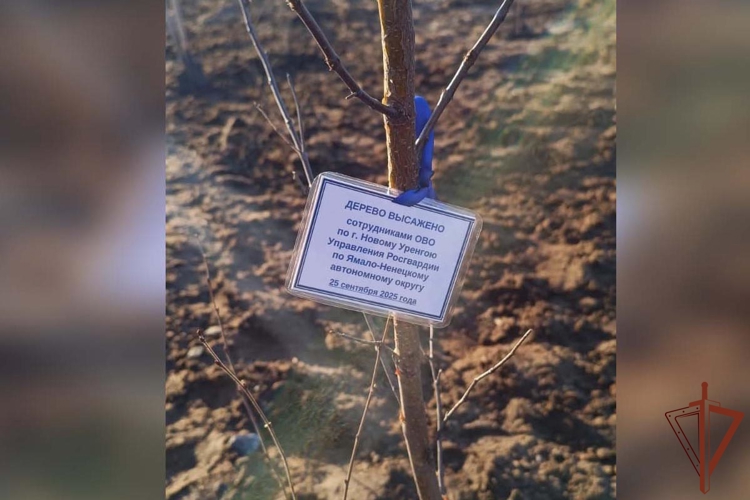 На Ямале в преддверии 50-летия города Новый Уренгой сотрудники Росгвардии заложили «Сад Памяти» (видео)