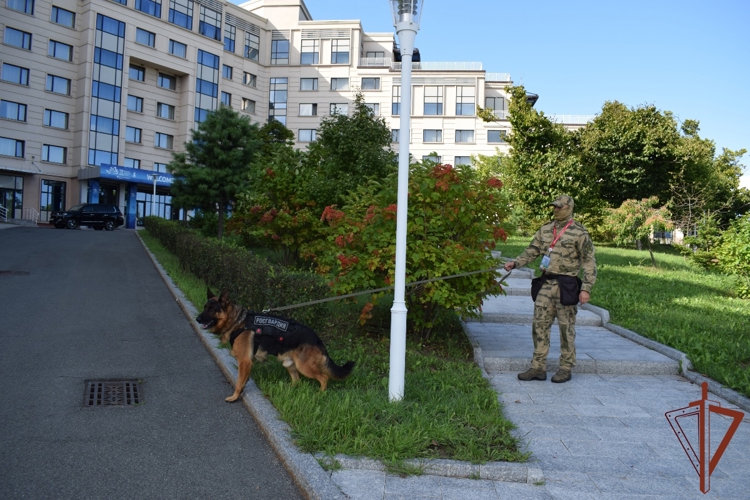 Росгвардия обеспечила безопасность Восточного экономического форума