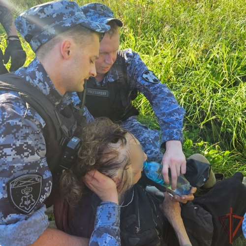 В Павловске росгвардейцы пришли на помощь заблудившейся в лесу пенсионерке