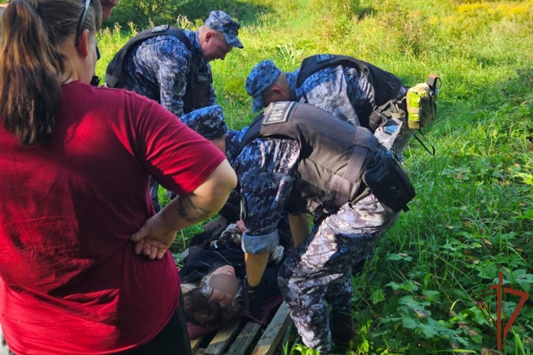 В Павловске росгвардейцы пришли на помощь заблудившейся в лесу пенсионерке