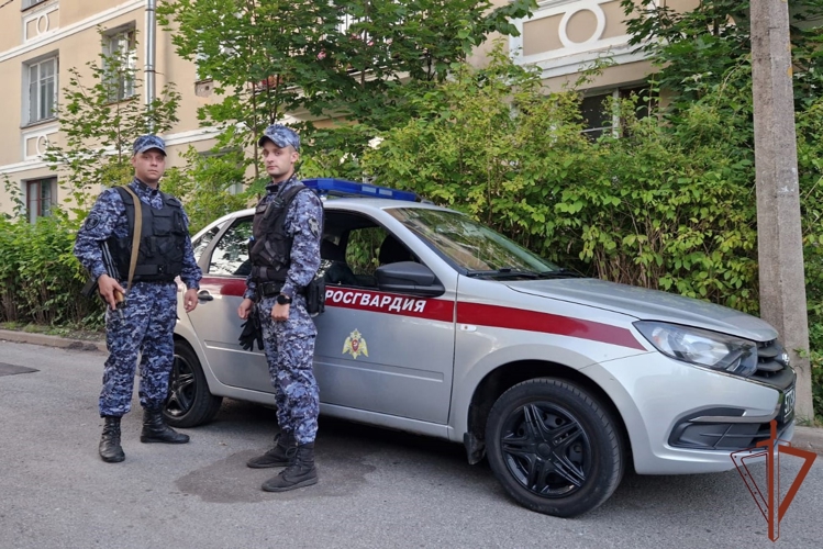 В Павловске росгвардейцы пришли на помощь заблудившейся в лесу пенсионерке