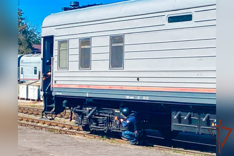 В Подмосковье росгвардейцы провели учения по организации охраны специального груза